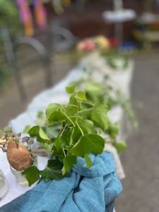 Süßkartoffeln werden in Hochbeete gepflanzt