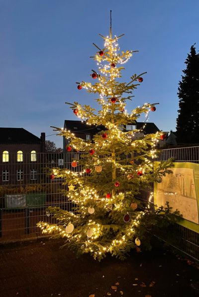 Beleuchteter Tannenbaum
