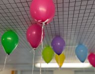 IMG 8876